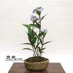 �J���Ԓ��E�~��10