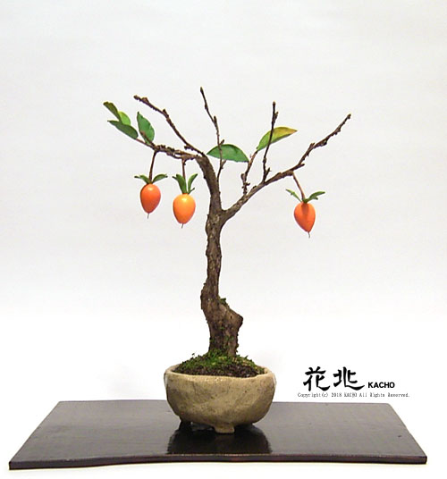 �J���t���X�R�~�͉Ԓ��E�M�������[12