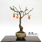 �J���Ԓ��E�~��12