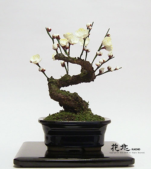 谷中フレスコ盆栽花兆・ギャラリー2