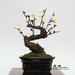 �J���Ԓ��E�~��2