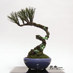 �J���Ԓ��E�~��3