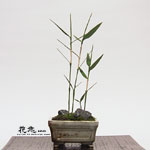 �J���Ԓ��E�~��5