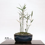 �J���Ԓ��E�~��6