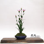 �J���Ԓ��E�~��8