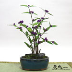 �J���Ԓ��E�~��9